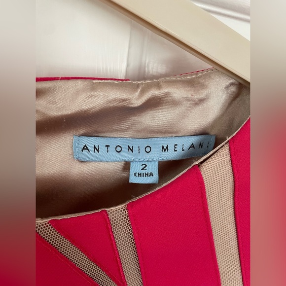 Antonio Melani Hot Pink & Nude Stripes Dress - Picture 2 of 3